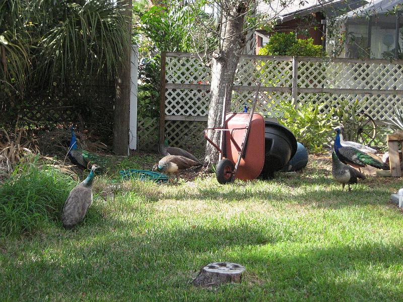 Picture 023